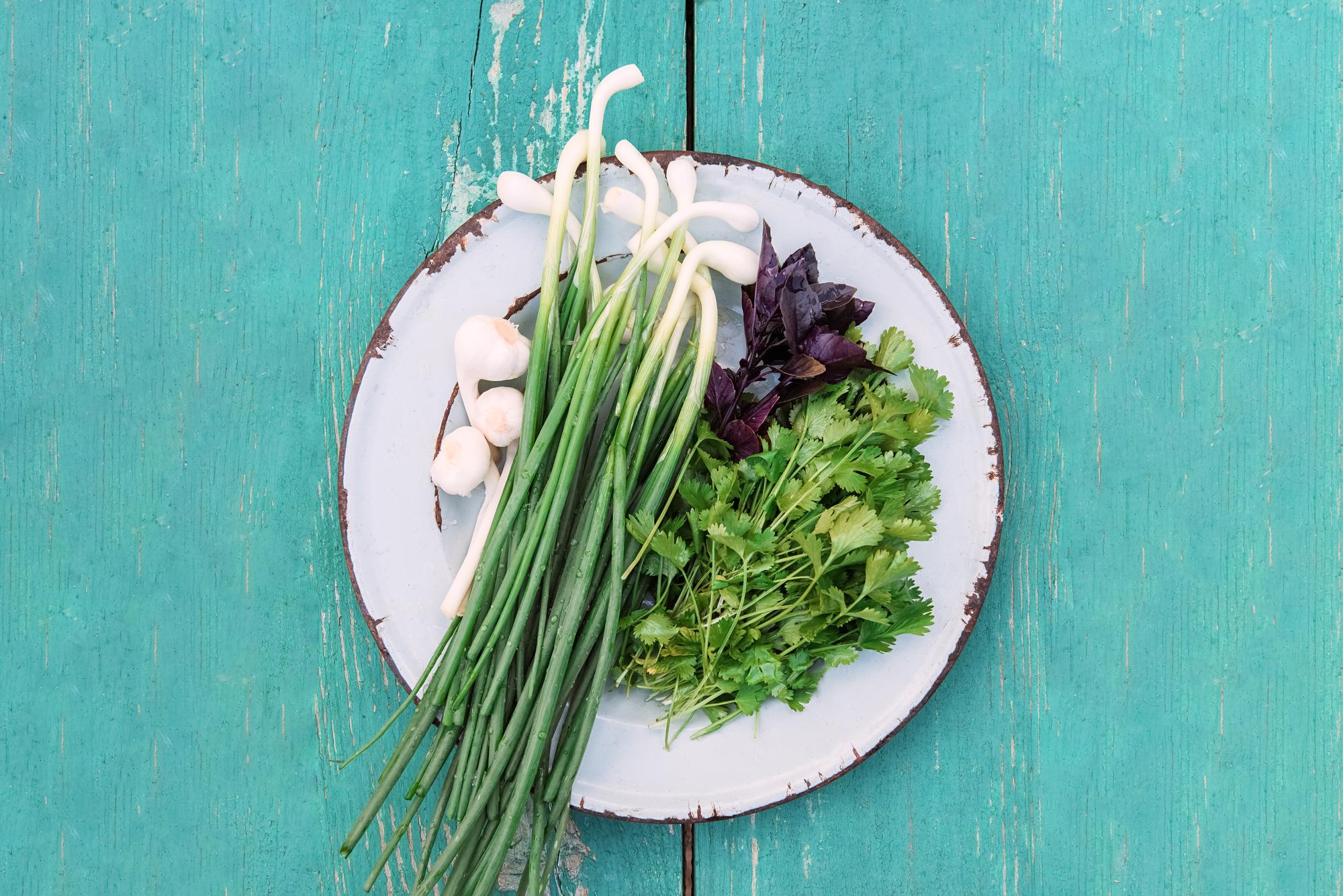 close-up crafted plated dish with herbs